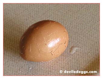 Cracked shell brown egg