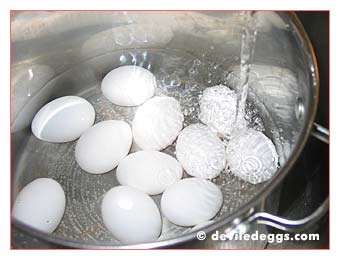 Filling the Pot with Water